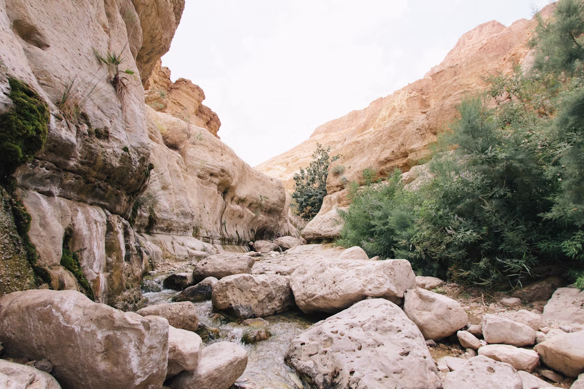 Rocky desert canyon landscape in Israel